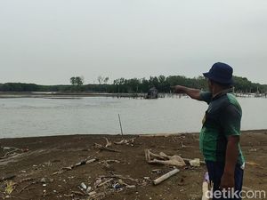 Pulau Arnavat Ditemukan di Demak Saat Mau Nanam Mangrove