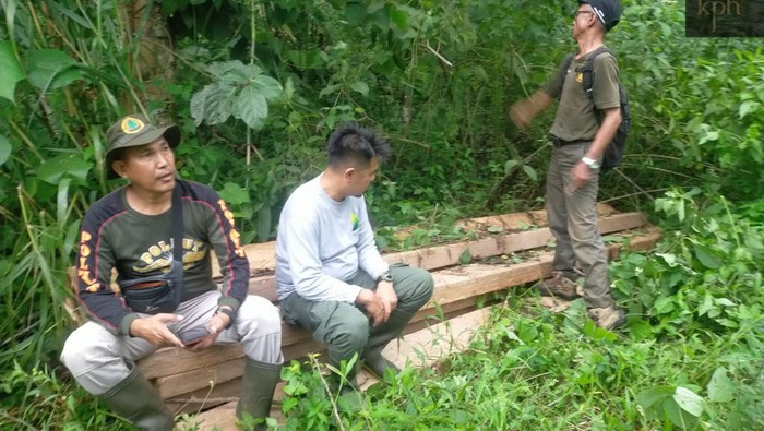 Petugas KPHL Bukit Daun menemukan batu bara dan kayu ilegal di HTP Desa Rindu Hati.