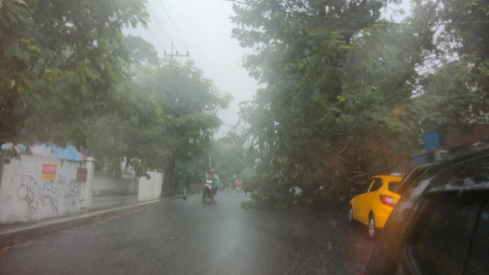 pohon tumbang di jalan opak surabaya