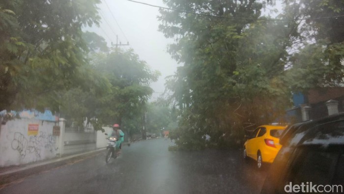 pohon tumbang di surabaya