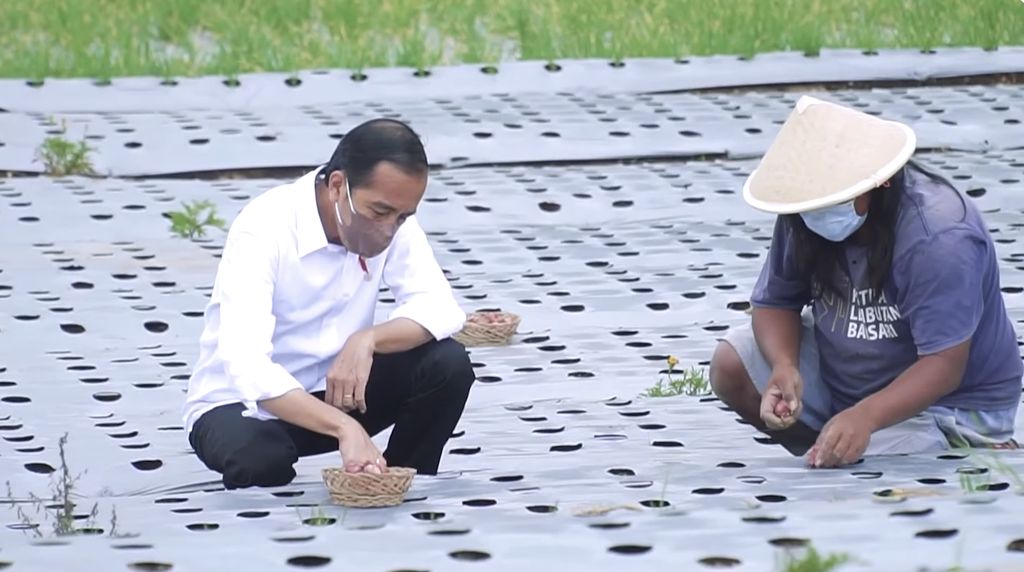 Program Peningkatan Penyediaan Pangan Berbasis Food Estate. (Tangkapan Layar Youtube Sekretariat Kabinet RI)