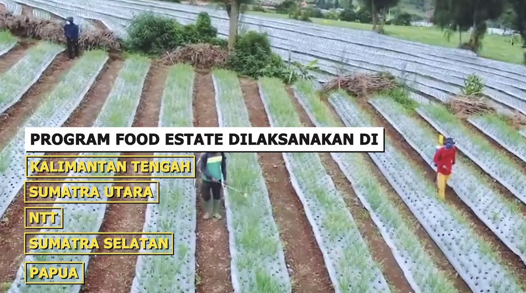 Program Peningkatan Penyediaan Pangan Berbasis Food Estate. (Tangkapan Layar Youtube Sekretariat Kabinet RI)