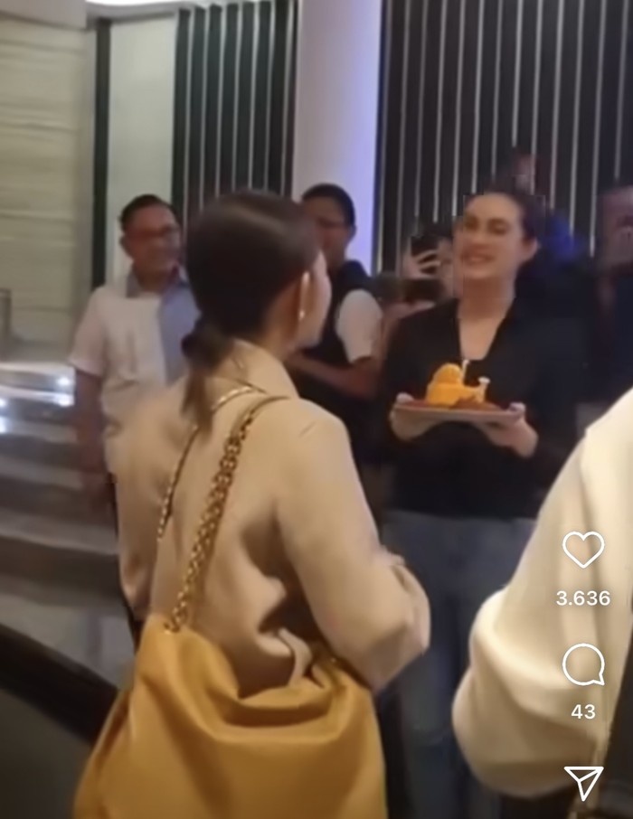 Selvi Ananda Ulang Tahun, Dapat Kejutan Kue di Pesawat!