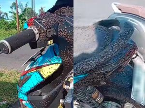 Kala Lalat-lalat Menyerbu Kintamani hingga Disorot Sandiaga Uno