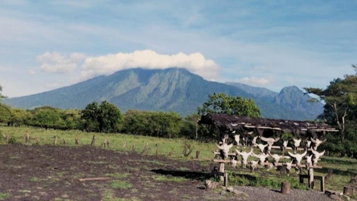 Surat edaran penutupan dan gambaran TN Baluran.