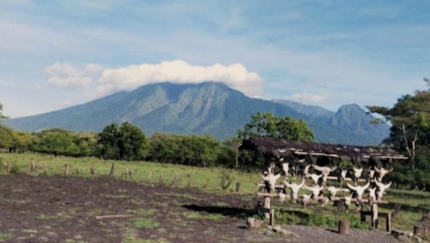 Surat edaran penutupan dan ilustrasi TN Baluran.
