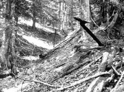 10 Bencana Alam Paling Misterius yang Pernah Ada