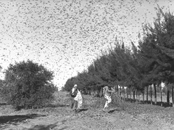 10 Bencana Alam Paling Misterius yang Pernah Ada