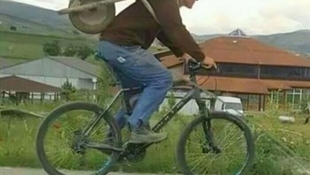 Solutip... Foto: Boredpanda