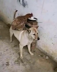 Foto Kocak Dibagikan Netizen