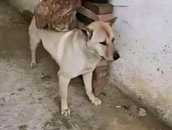 Deretan Foto Kocak yang Dibagikan Netizen Bikin Ngakak