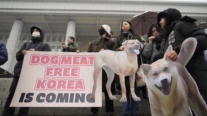 Korea Selatan Resmi Larang Perdagangan dan Konsumsi Daging Anjing Animal rights activists attend a protest rally supporting the government-led dog meat banning bill at the National Assembly in Seoul, South Korea, Tuesday, Jan. 9, 2024. South Korea's parliament on Tuesday passed a landmark ban on production and sales of dog meat, as public calls for a prohibition have grown sharply over concerns about animal rights and the country's international image. (AP Photo/Ahn Young-joon)