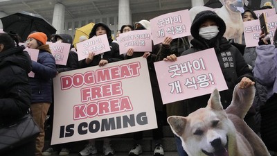 Korea Selatan Resmi Larang Perdagangan dan Konsumsi Daging Anjing