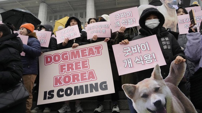 Animal rights activists attend a protest rally supporting the government-led dog meat banning bill  at the National Assembly in Seoul, South Korea, Tuesday, Jan. 9, 2024. South Koreas parliament on Tuesday passed a landmark ban on production and sales of dog meat, as public calls for a prohibition have grown sharply over concerns about animal rights and the countrys international image. (AP Photo/Ahn Young-joon)