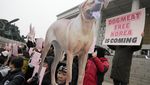 Korea Selatan Resmi Larang Perdagangan dan Konsumsi Daging Anjing