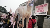 Mengonsumsi daging anjing merupakan hal yang tabu di kalangan generasi muda perkotaan Korea Selatan, dan tekanan terhadap pemerintah untuk melarang praktik tersebut dari aktivis hak-hak hewan semakin meningkat. Dukungan resmi terhadap larangan tersebut semakin meningkat di bawah kepemimpinan Presiden Yoon Suk Yeol, yang mengaku penyayang binatang dan telah mengadopsi beberapa anjing dan kucing liar bersama Ibu Negara Kim Keon-hee -- yang juga merupakan kritikus vokal terhadap konsumsi daging anjing.