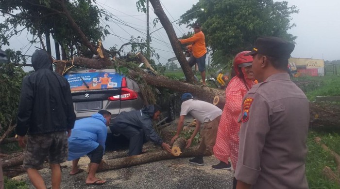 Mobil tertimpa pohon tumbang di jalur Kalikotes-Trucuk, Klaten, Rabu (10/1/2024).