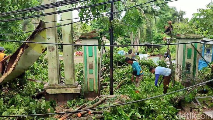 Pohon besar di Palembang tumbang usai diterpa angin kencang.