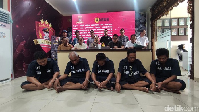 Tampang tersangka pembawa ratusan anjing di truk Semarang. Para tersangka dihadirkan di Mapolrestabes Semarang, Rabu (10/1/2024).