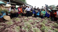 Capres nomor urut 3 itu juga sempat melihat-lihat bawang merah yang sudah diikat tersebut.