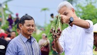 Brebes merupakan daerah penghasil bawang merah di Jawa Tengah.