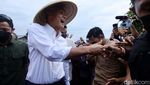 Turun ke Sawah, Ganjar Tampung Curhat Petani Bawang Merah di Brebes