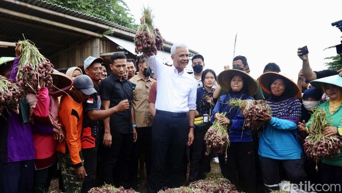 Ganjar Pranowo melanjutkan kampanyenya dengan menemui petani bawang merah di Brebes, Jawa Tengah, Rabu (10/1/2024). Kedatangannya untuk mendengarkan keluh kesah petani bawang merah.