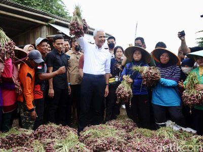 Turun ke Sawah, Ganjar Tampung Curhat Petani Bawang Merah di Brebes