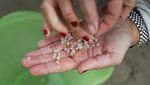 Butiran Plastik Cemari Pantai di Spanyol