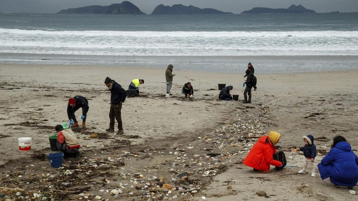 Butiran Plastik Cemari Pantai di Spanyol Volunteers collect plastic pellets from a beach in Nigran, Pontevedra, Spain, Tuesday, Jan. 9, 2024. Spanish state prosecutors have opened an investigation into countless tiny plastic pellets washing up on the country's northwest coastline after they were spilled from a transport ship. (AP Photo/Lalo R. Villar)
