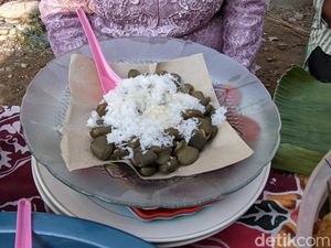Mencicipi Brayo, Cemilan Unik dari Buah Mangrove Khas Warga Pesisir Demak
