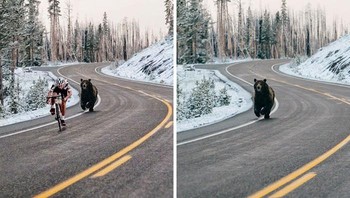 Meskipun dikejar beruang mungkin menjadi motivasi besar untuk bersepeda lebih cepat, foto tersebut awalnya tidak menampilkan pengendara sepeda tersebut. Foto: Boredpanda