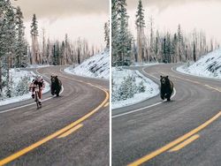Deretan Foto Viral Ternyata Palsu, Hasil Editan Photoshop