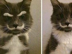 Deretan Foto Viral Ternyata Palsu, Hasil Editan Photoshop