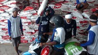Pekerja mengangkat karung berisi pupuk saat program Gebyar Diskon Pupuk di gudang pupuk Desa Cimohong, Brebes, Jawa Tengah, Kamis (11/1/2024).