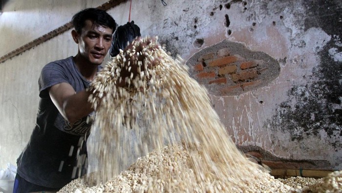ekerja membuat tempe berbahan kedelai impor di sentra industri tahu tempe di Sanan, Malang, Jawa Timur, Selasa (9/1/2024). Pengusaha tempe setempat mengeluhkan harga kedelai impor yang kembali mengalami fluktuasi dengan kecenderungan meningkat sejak tiga bulan terakhir yakni dari Rp 10.000 menjadi Rp11.500 per kilogram sehingga mereka membatasi jumlah produksi hanya empat kwintal per hari meski permintaan tempe meningkat.