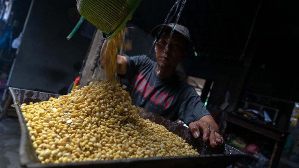 Harga Kedelai Impor Naik