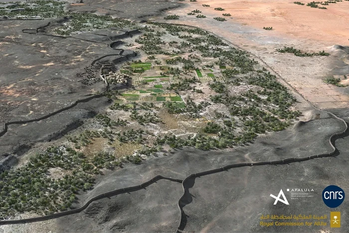 Oasis Misterius Bertembok Besar di Arab Saudi Usianya 4000 Tahun 