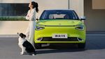 Ini Mobil Listrik China Seharga Rp 160 Jutaan yang Sekali Cas Bisa Jalan 430 Km