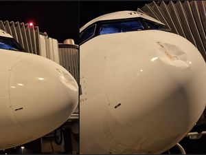 Baru Sebulan, Hidung Pesawat Ini Sudah Penyok Ditabrak Burung