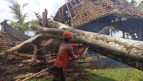 Pohon tumbang menimpa bangunan di Gianyar, Bali, beberapa waktu lalu.