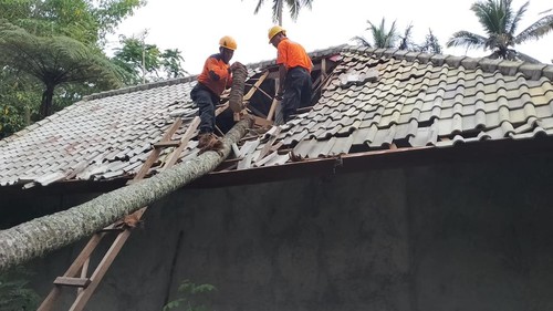 BPBD Karangasem saat menangani pohon tumbang yang menimpa rumah di wilayah Desa Bebandem, Kamis (11/1/2024) (dok. BPBD Karangasem)