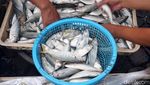 Potret Pasar Ikan Pabean Surabaya