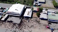 Kerusuhan terjadi usai sebagian besar pegawai negeri sipil (PNS) hingga tentara dan polisi negara itu berdemo di gedung parlemen untuk memprotes pemotongan gaji secara tiba-tiba. (Mackenzie Waide/via REUTERS)