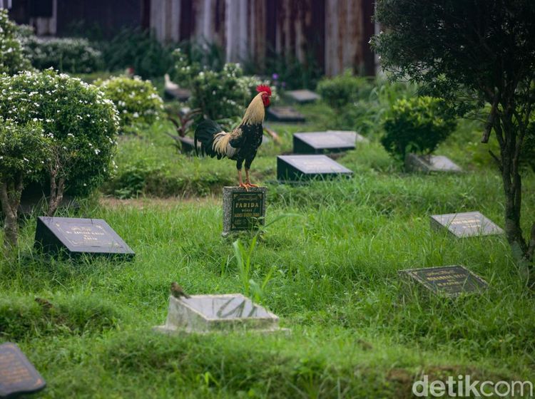 13 TPU di Depok Bebas Biaya Pemakaman