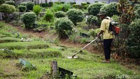 Pengurusan berkas pemakaman juga bisa diakses melalui aplikasi Sistem Informasi Pemakaman Umum (Simakmum) Kota Depok atau melalui web www.simakmum.com.