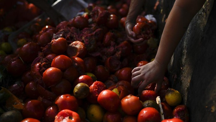 Argentina Economy A youth collects discarded vegetables at a market on the outskirts of Buenos Aires, Argentina, Wednesday, Jan. 10, 2024. (AP Photo/Natacha Pisarenko)