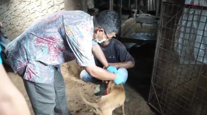 Dinas PKH Subang saat mengecek ke penampungan anjing
