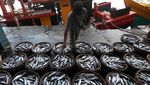 Kasihan Nelayan, Harga Ikan Tongkol Anjlok dari Rp 20.000/Kg Jadi Rp 1.500/Kg