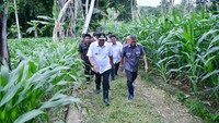 Kamis, 11 Januari 2024, Bahtiar yang baru saja menghadiri sejumlah kegiatan di Kabupaten Sidrap dan Wajo, tiba di Desa Ulaweng Riaja, Kecamatan Amali, Kabupaten Bone, untuk melakukan penanaman budidaya pisang Cavendish. Karena perjalanan yang cukup jauh, kegiatan tersebut diagendakan di sore hari.